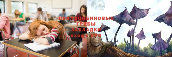 ешки Алексин