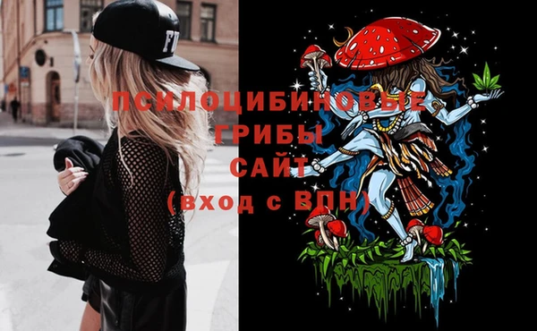 ешки Алексин