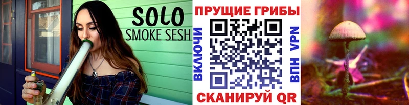 Галлюциногенные грибы Psilocybine cubensis  Орлов 